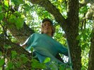 gallery127_378