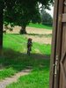 gallery86_1381