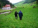 gallery96_2644