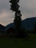 gallery104_2609