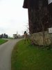 gallery88_3410