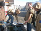 gallery52_5910