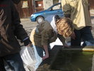 gallery52_5885
