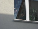 gallery52_5913